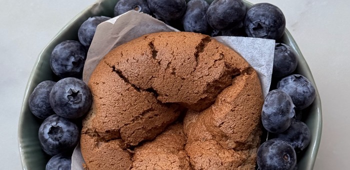 Blueberry spongie cake in a bowl surrounded by fresh blueberries