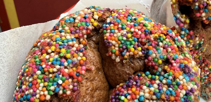 Holy Chocolate spongie cakes covered in rainbow sprinkles