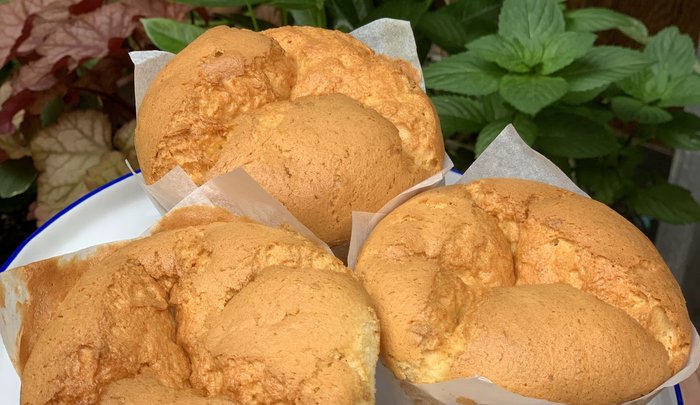 Original spongie cakes on a plate surrounded by garden plants